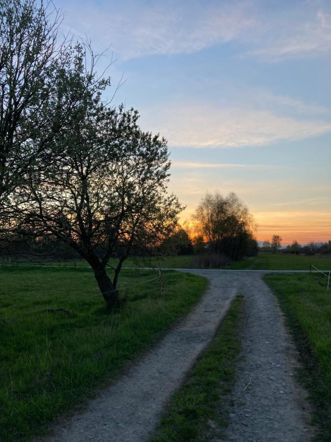 Domki Górskie Szlaki Czarny Dunajec Exterior foto